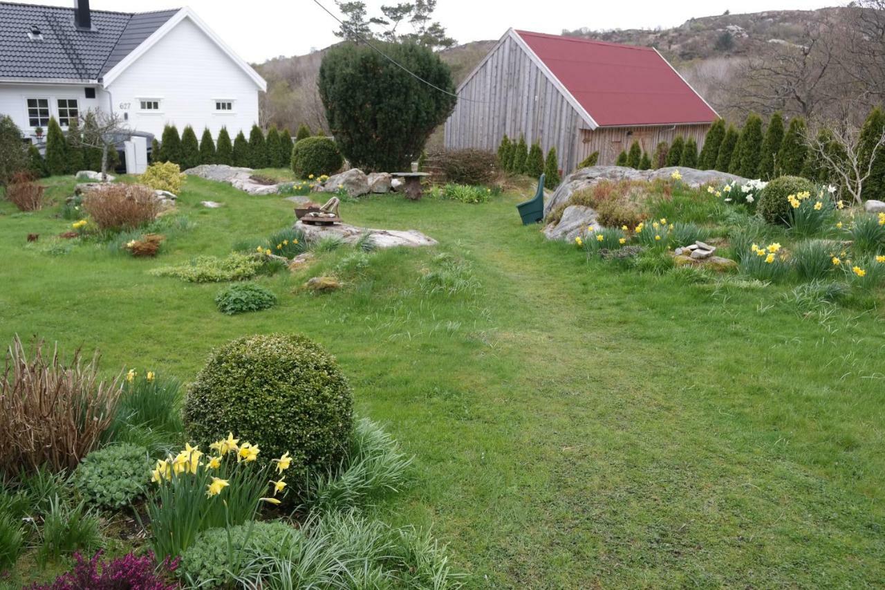 Idyllisk Feriested Royksund Dış mekan fotoğraf